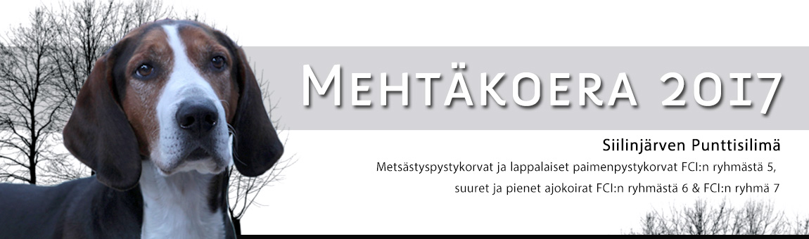 mehtakoera17