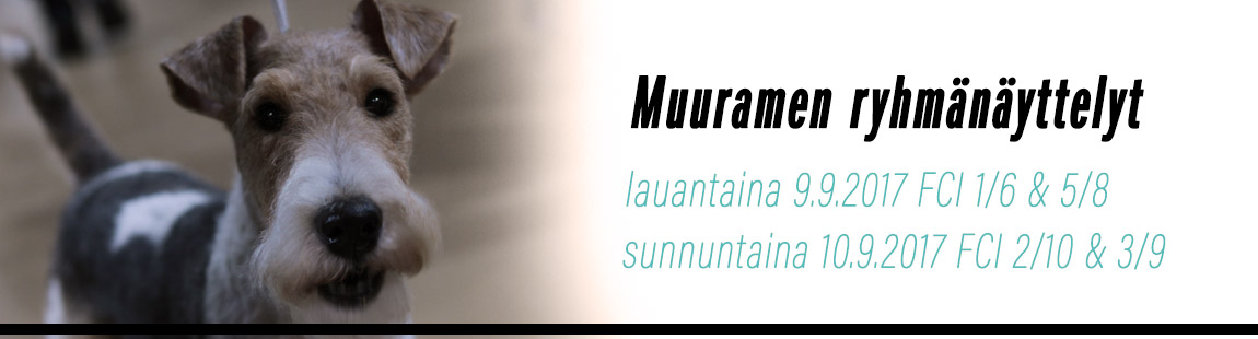 Muurame