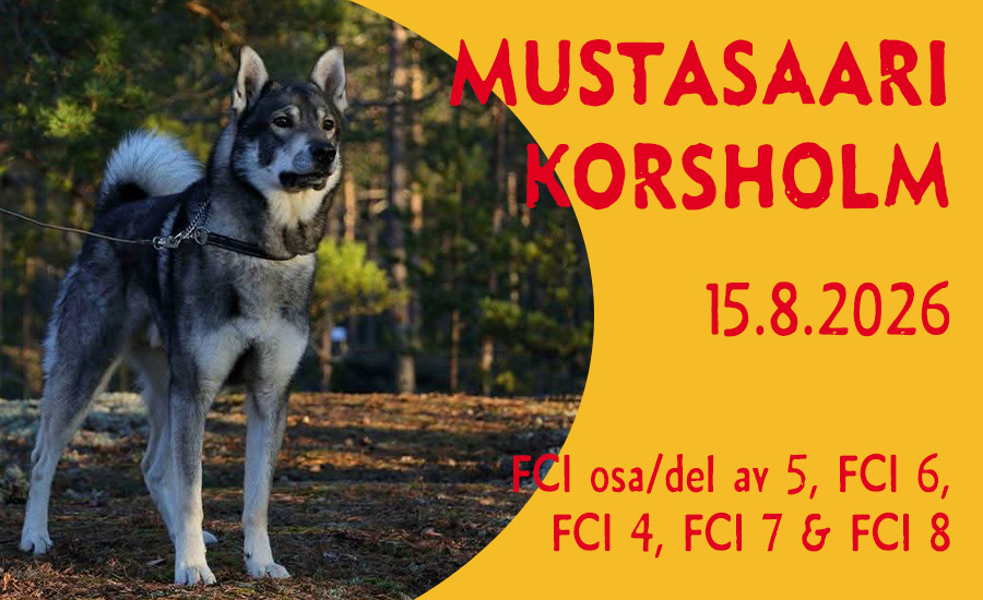 Mustasaari  |  Korsholm  |  15.8.2026