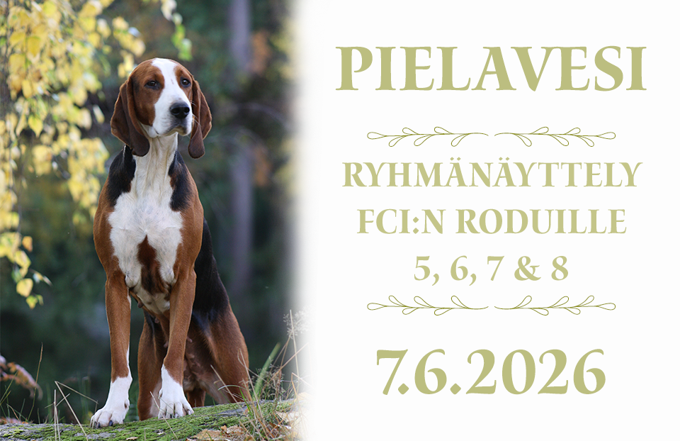 Pielaveden ryhmänäyttely 7.6.2026