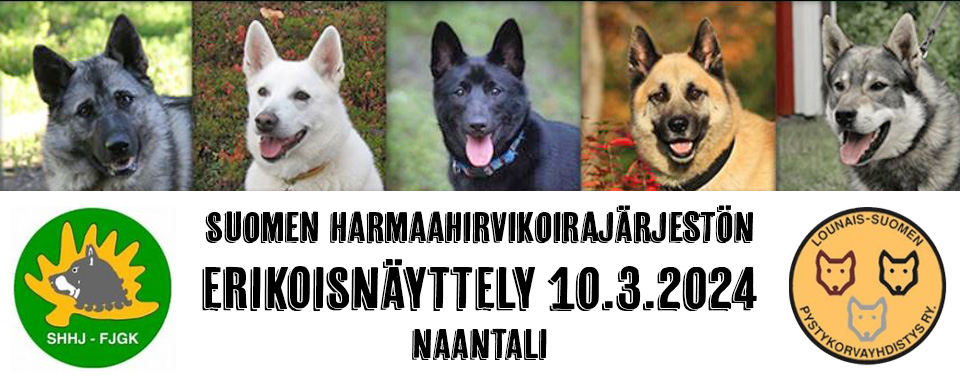 SHHJ:n erikoisnäyttely 10.3.2024