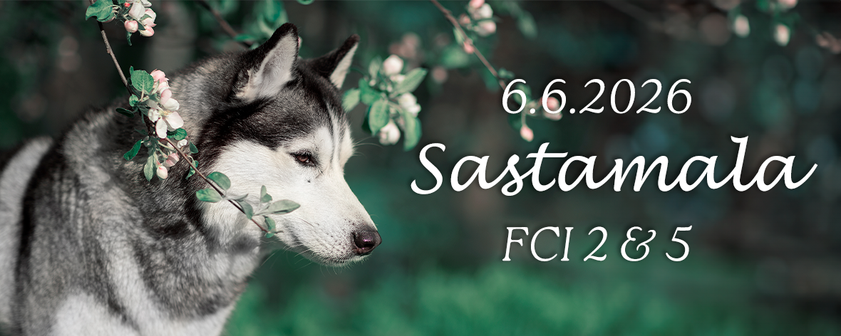 Sastamalan ryhmänäyttely 6.6.2026