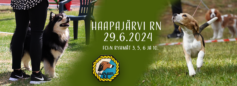 Haapajärven ryhmänäyttely 29.6.2024