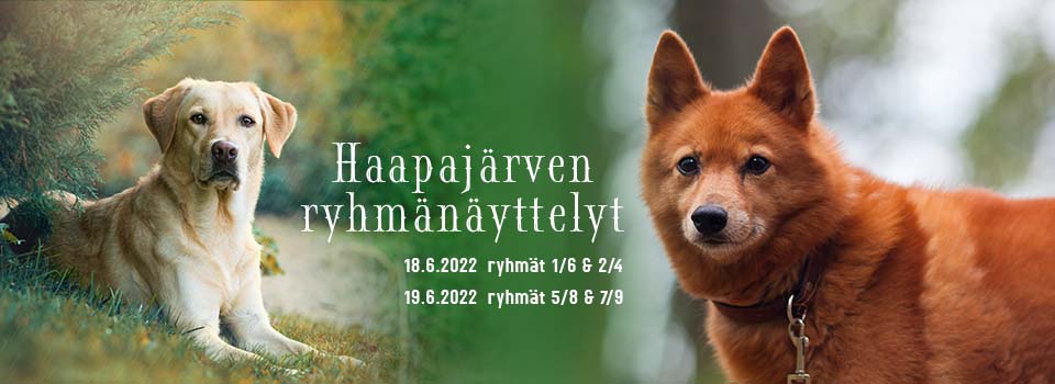 Haapajärvi RN 18.-19.6.2022