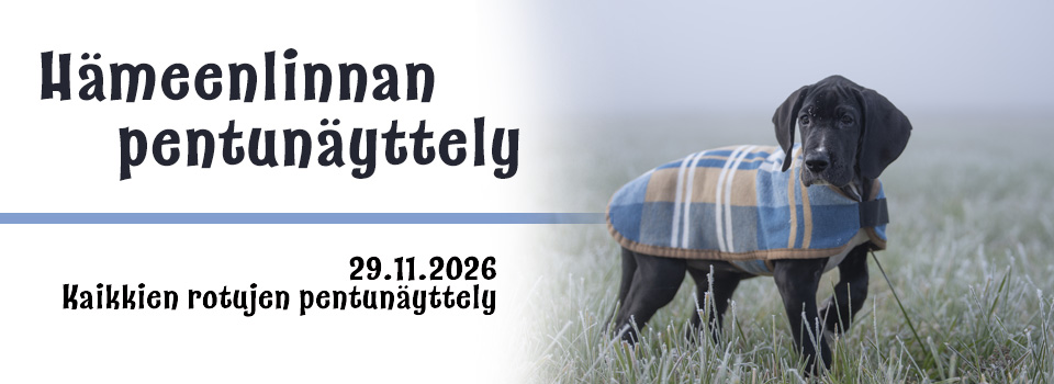 Hämeenlinnan pentunäyttely 29.11.2026