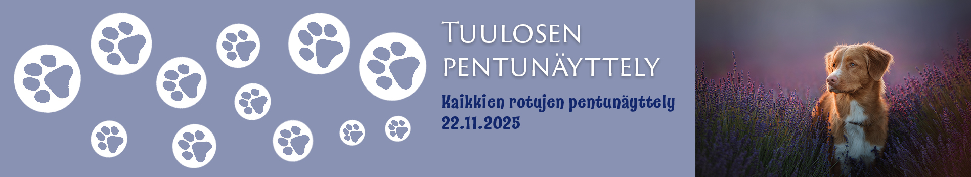 Hämeenlinnan pentunäyttely 22.11.2025