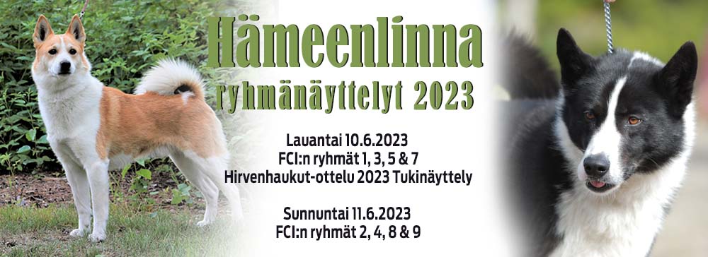 Hämeenlinnan ryhmänäyttelyt 10.6. & 11.6.2023