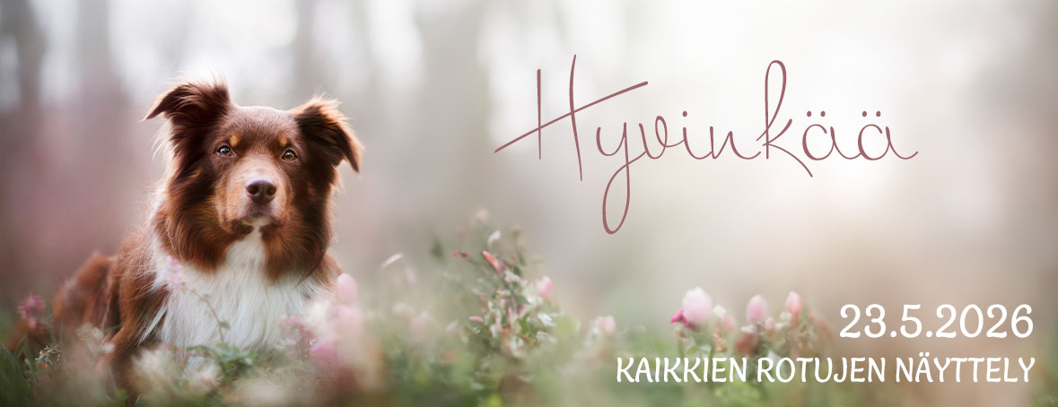 Hyvinkää KR 2026 Toukonäyttely