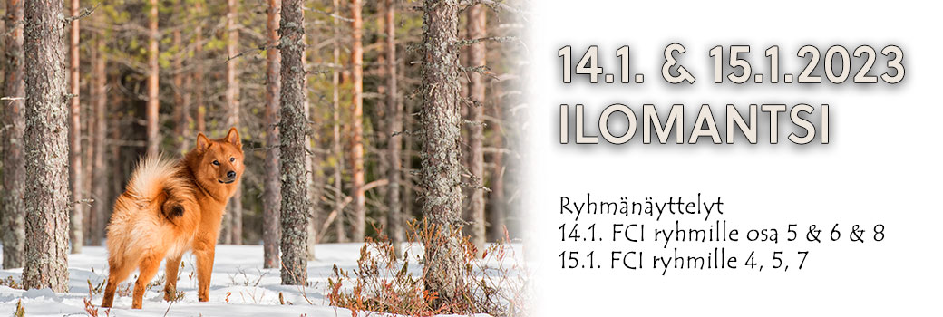 Ilomantsin ryhmänäyttelyt 14.1. & 15.1.2023