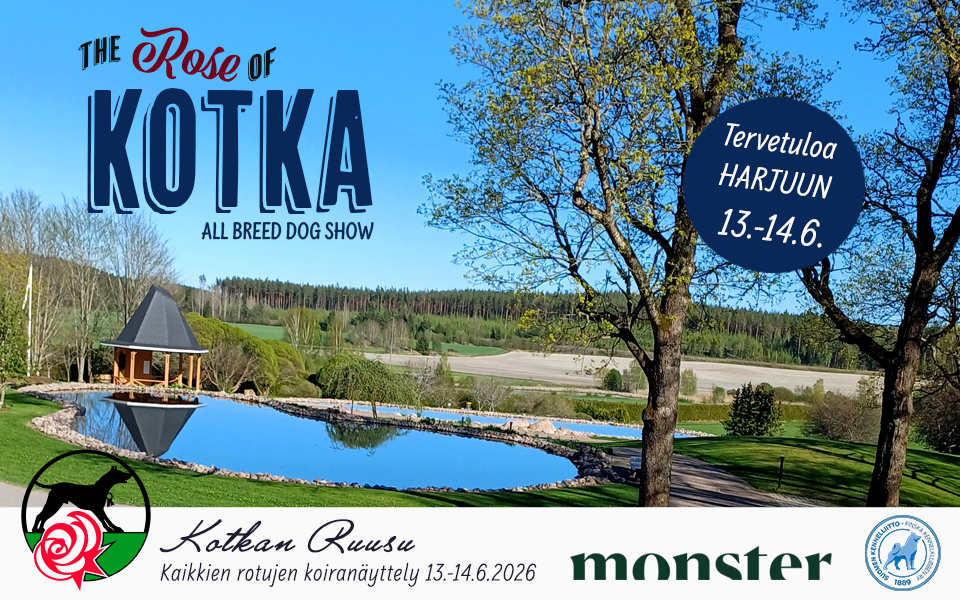 Kotkan Ruusu 2026