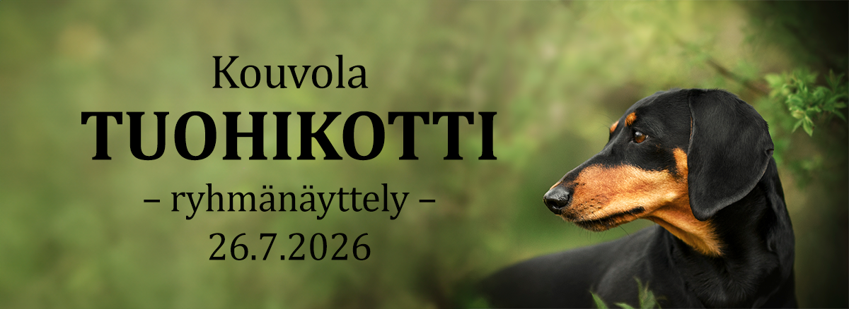 Kouvola/Tuohikotti ryhmänäyttely 26.7.2026