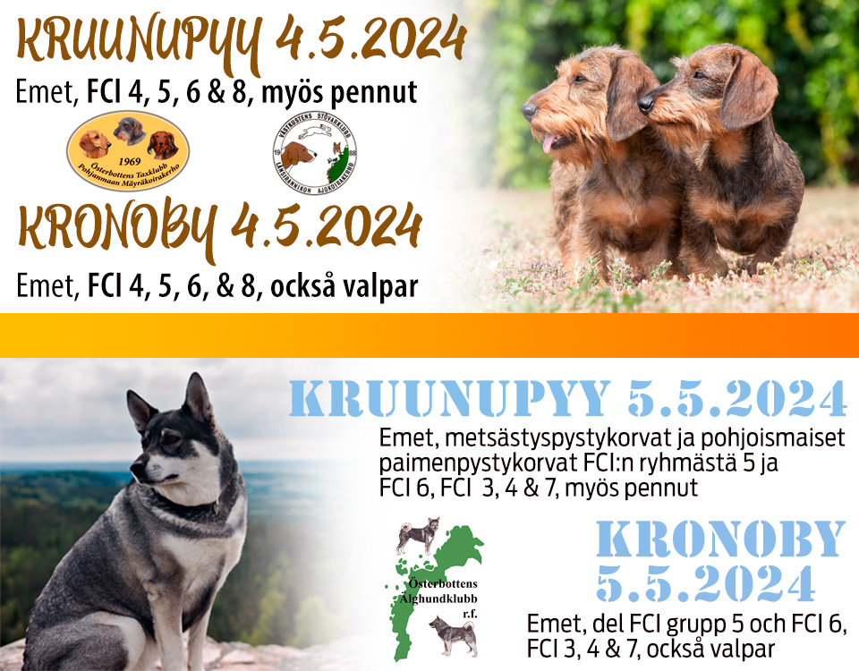 Kruunupyy RN 4.-5.5.2024