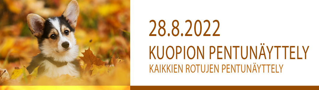 Kuopio PN 28.8.2022