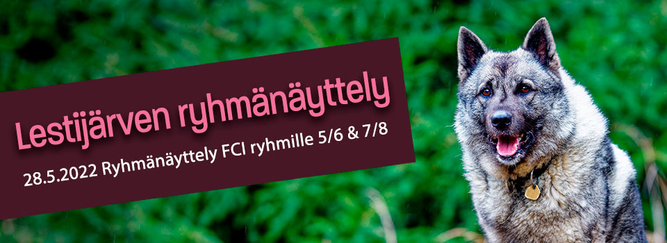 Lestijärven ryhmänäyttely 28.5.2022
