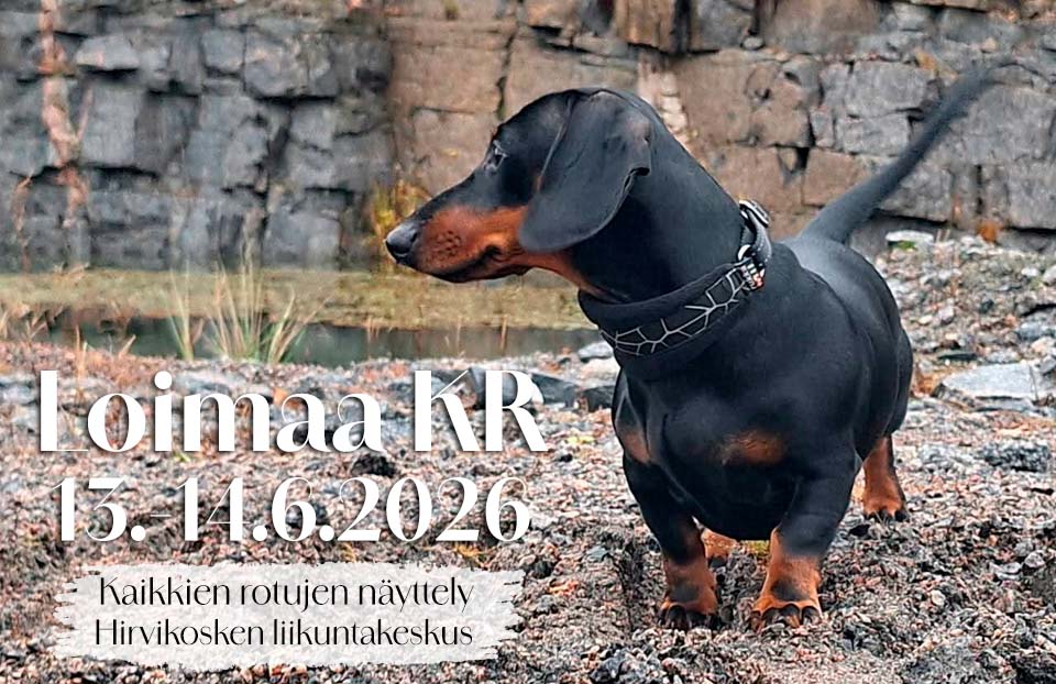 Loimaa KR 13.-14.6.2026