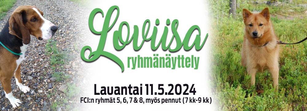 Loviisan ryhmänäyttely 11.5.2024