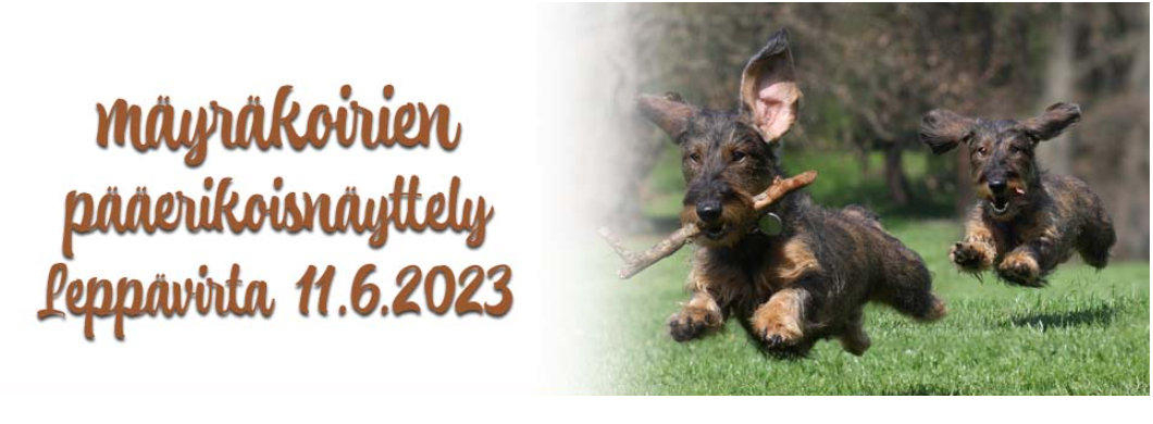 Mäyräkoira ER 11.6.2023