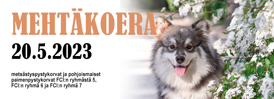 Mehtäkoera 2023 – 20.5.2023