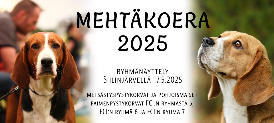 Mehtäkoera 2025