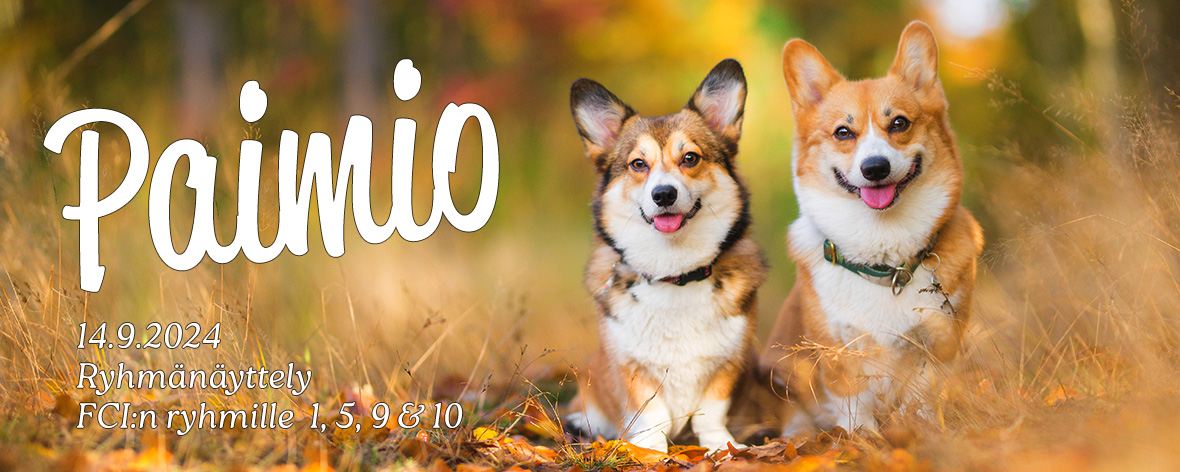 Paimio RN 14.9.2024
