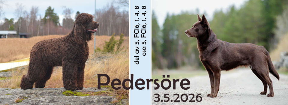 Pedersöre grupputställning // Pedersöre ryhmänäyttely