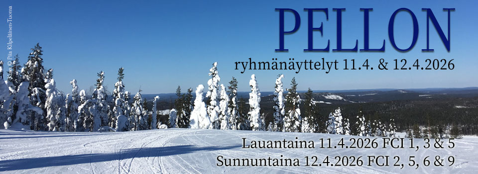 Pellon ryhmänäyttelyt 2025