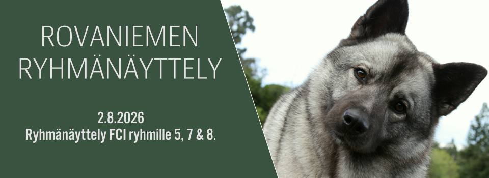 Rovaniemi RN 2.8.2026