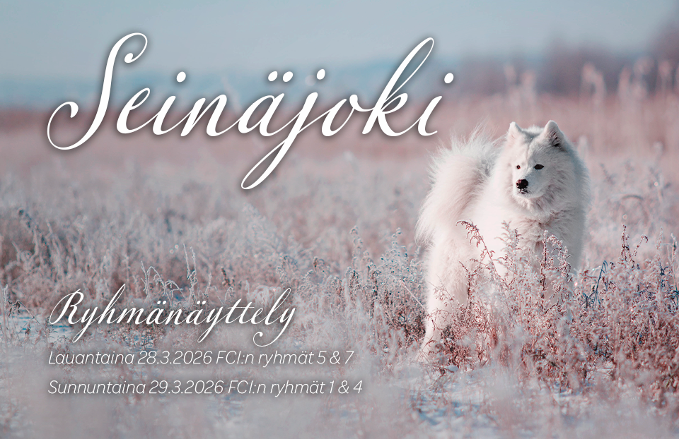 Seinäjoen ryhmänäyttely 2026