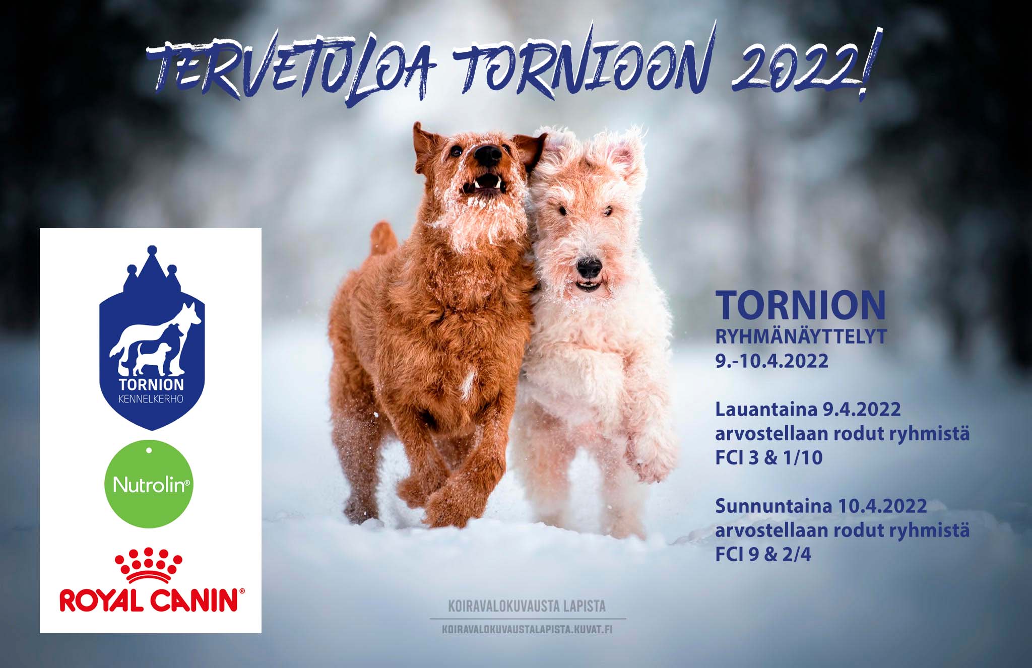 Tornion ryhmänäyttelyt 26. & 27.2.2022