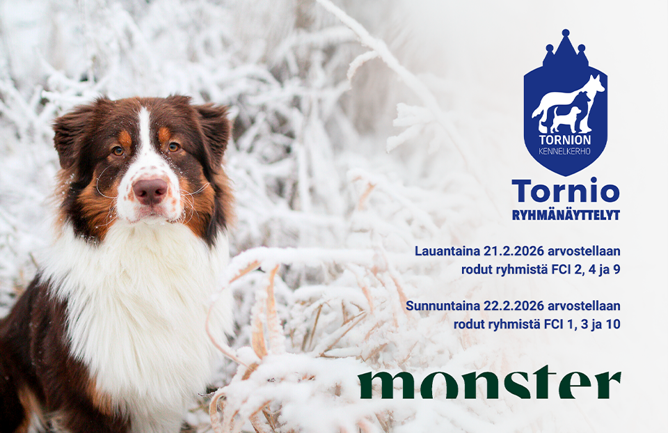 Tornion ryhmänäyttelyt 21. ja 22.2.2026