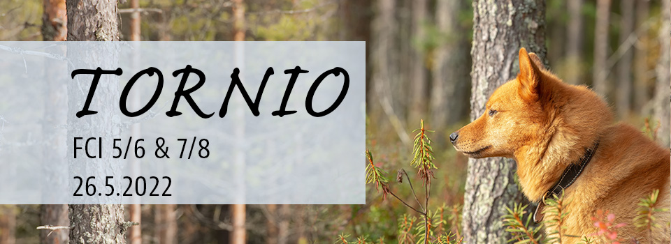 Tornio RN FCI 5/6 & 7/8,