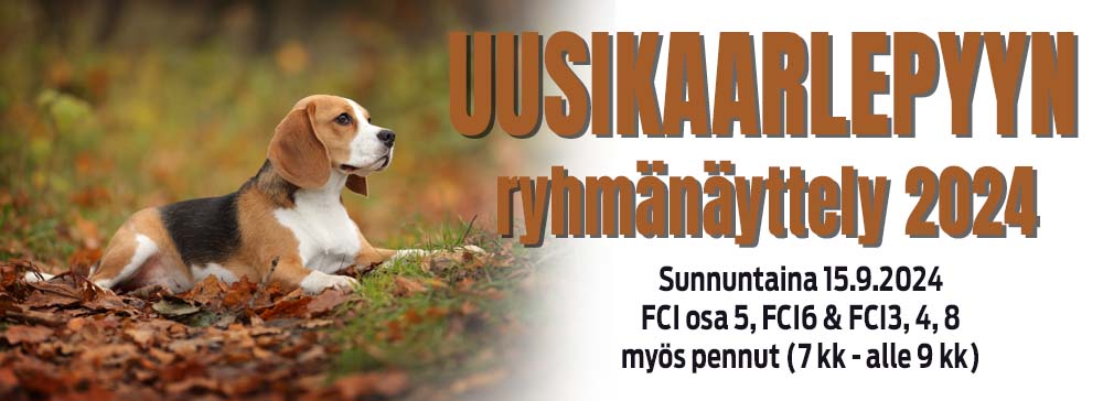 Uusikaarlepyyn ryhmänäyttely 15.9.2024