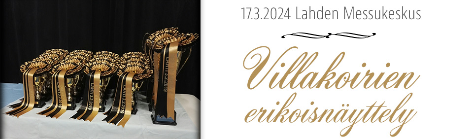 Villakoirien erikoisnäyttely 17.3.2024