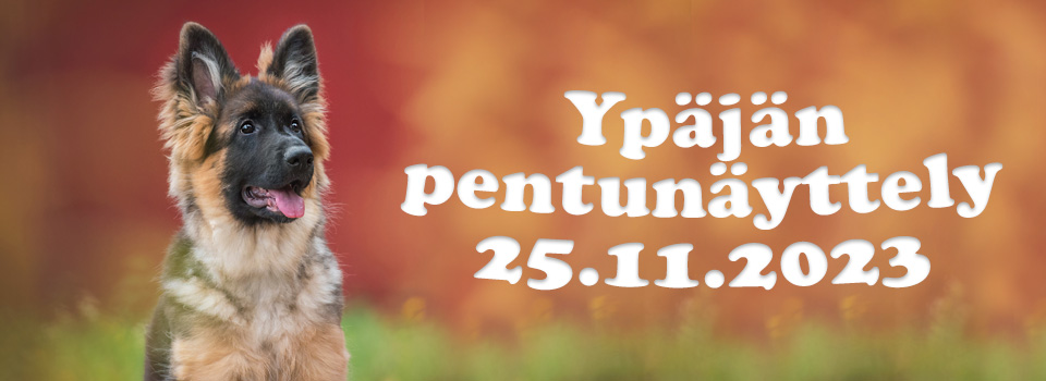 Ypäjän Pentunäyttely 25.11.2023